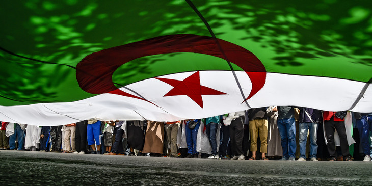 manifestants algeriens brandissent drapeau geant 31 2019 alger 0 730 365