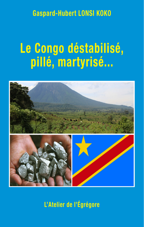 Livre sur le drame à l'est du Congo