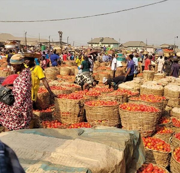 BOAD : 29,7 milliards FCFA pour le Wassoulou