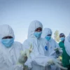 epidemie ebola rdc