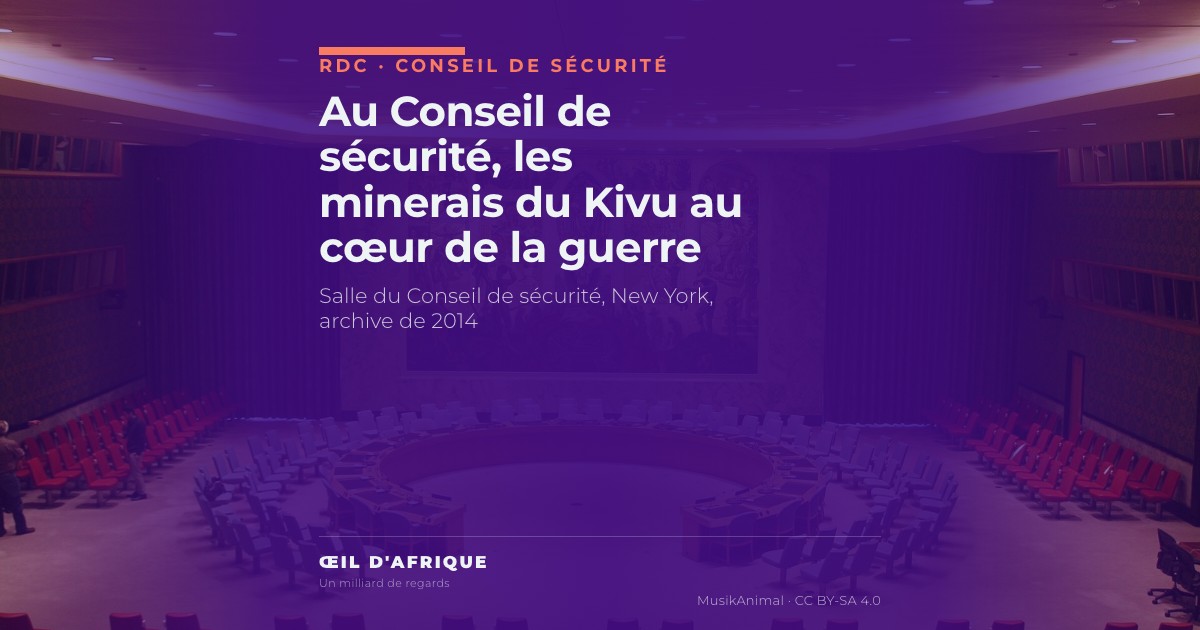 Salle du Conseil de sécurité des Nations unies à New York, où la société civile du Sud-Kivu a décrit la guerre des minerais dans l'Est de la RDC