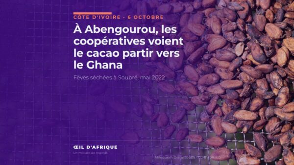 Fèves de cacao séchées sur une claie à Soubré, en Côte d'Ivoire, illustration de la fuite du cacao vers le Ghana dénoncée à Abengourou