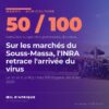 Les étals du souk aux légumes d'Inezgane, près d'Agadir, dans le Souss-Massa