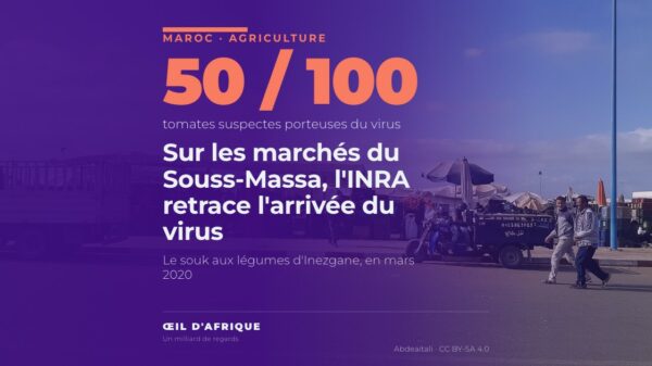 Les étals du souk aux légumes d'Inezgane, près d'Agadir, dans le Souss-Massa