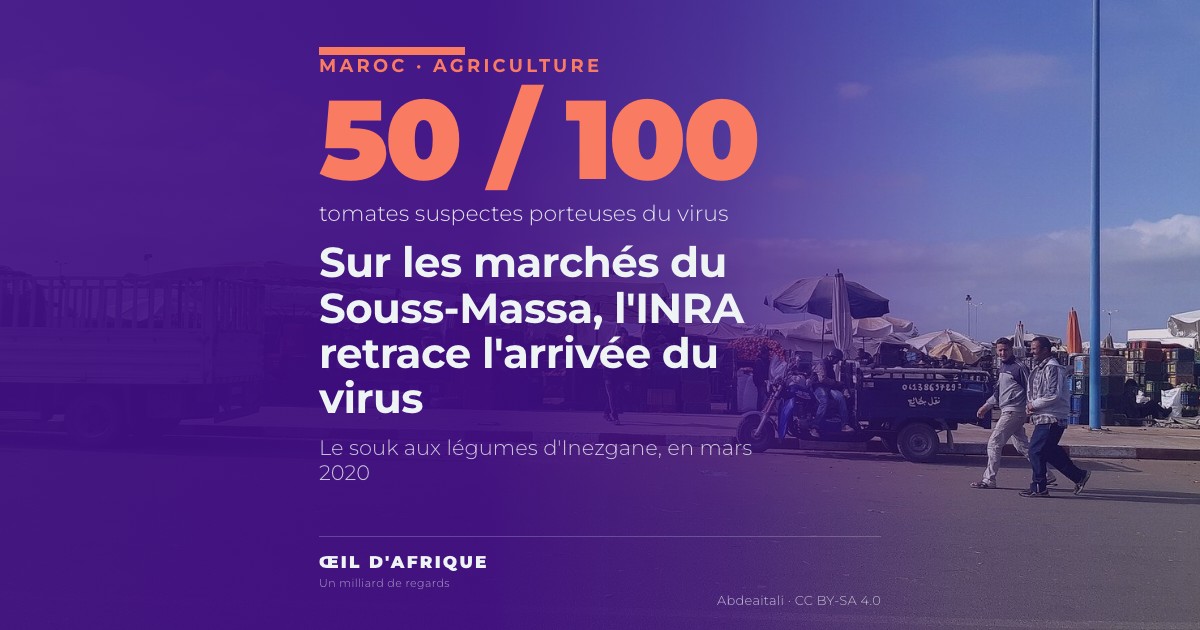 Les étals du souk aux légumes d'Inezgane, près d'Agadir, dans le Souss-Massa