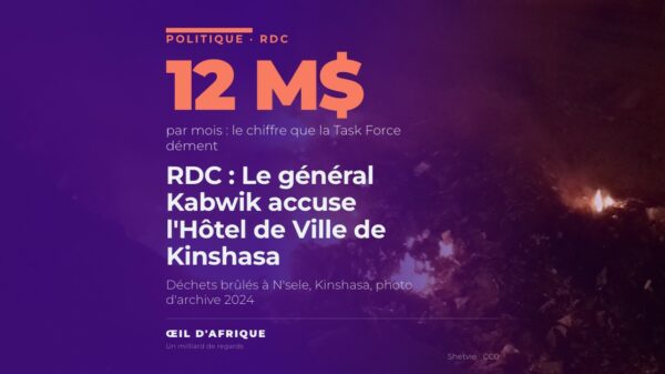 Déchets brûlés dans la commune de N'sele, à Kinshasa, ville dont la Task Force et l'Hôtel de Ville se disputent l'assainissement