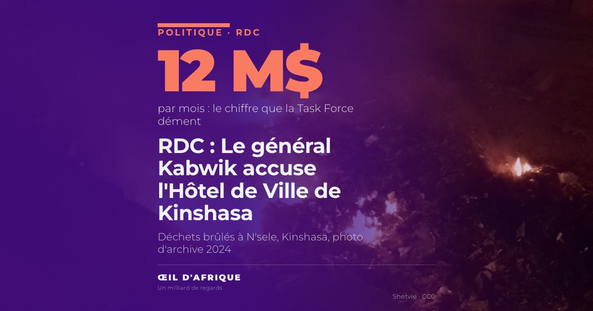 Déchets brûlés dans la commune de N'sele, à Kinshasa, ville dont la Task Force et l'Hôtel de Ville se disputent l'assainissement