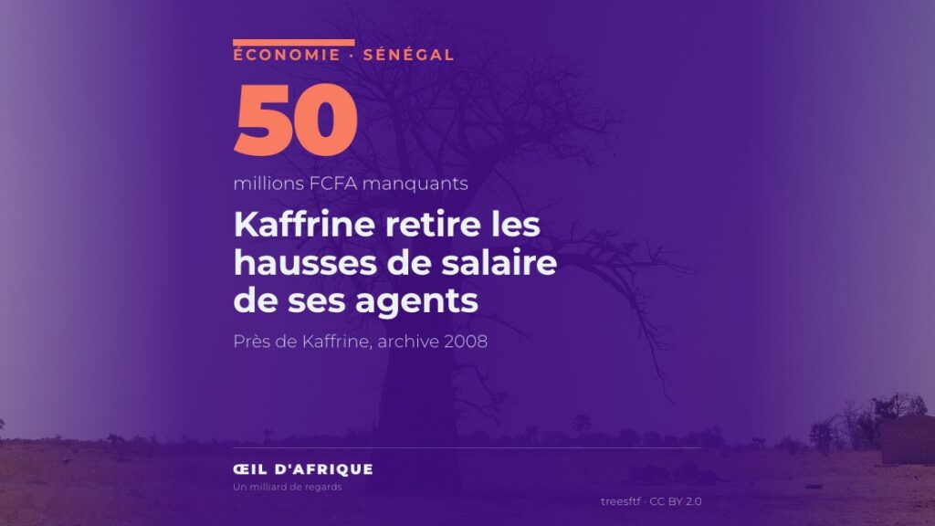 Baobab dans la plaine près de Kaffrine, au Sénégal, où la revalorisation salariale des agents du Conseil départemental a été suspendue