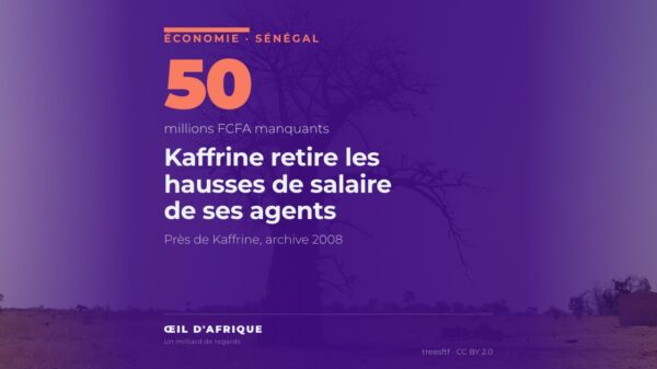 Baobab dans la plaine près de Kaffrine, au Sénégal, où la revalorisation salariale des agents du Conseil départemental a été suspendue