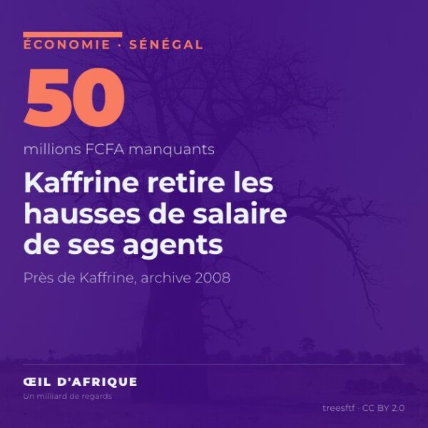 Baobab dans la plaine près de Kaffrine, au Sénégal, où la revalorisation salariale des agents du Conseil départemental a été suspendue