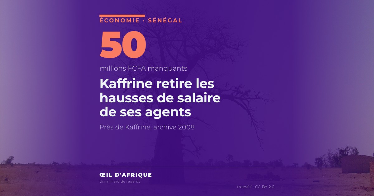 Baobab dans la plaine près de Kaffrine, au Sénégal, où la revalorisation salariale des agents du Conseil départemental a été suspendue
