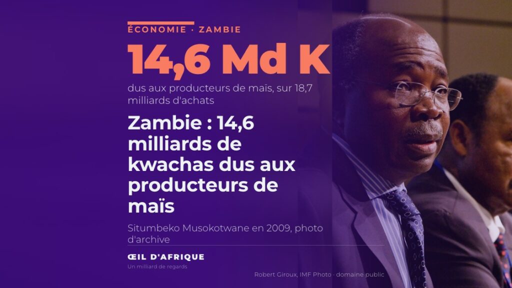 Situmbeko Musokotwane, ministre zambien qui a annoncé devant le Parlement que la Food Reserve Agency doit 14,6 milliards de kwachas aux producteurs