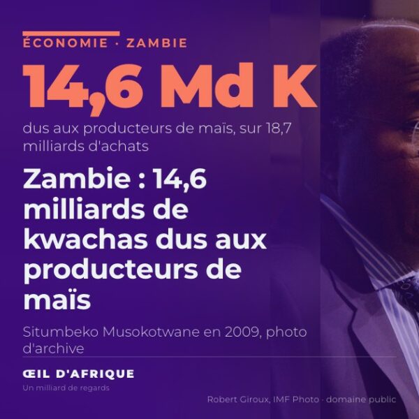 Situmbeko Musokotwane, ministre zambien qui a annoncé devant le Parlement que la Food Reserve Agency doit 14,6 milliards de kwachas aux producteurs