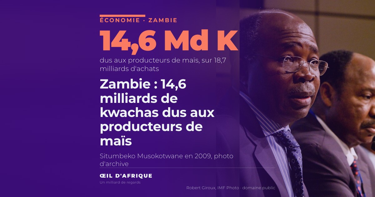 Situmbeko Musokotwane, ministre zambien qui a annoncé devant le Parlement que la Food Reserve Agency doit 14,6 milliards de kwachas aux producteurs